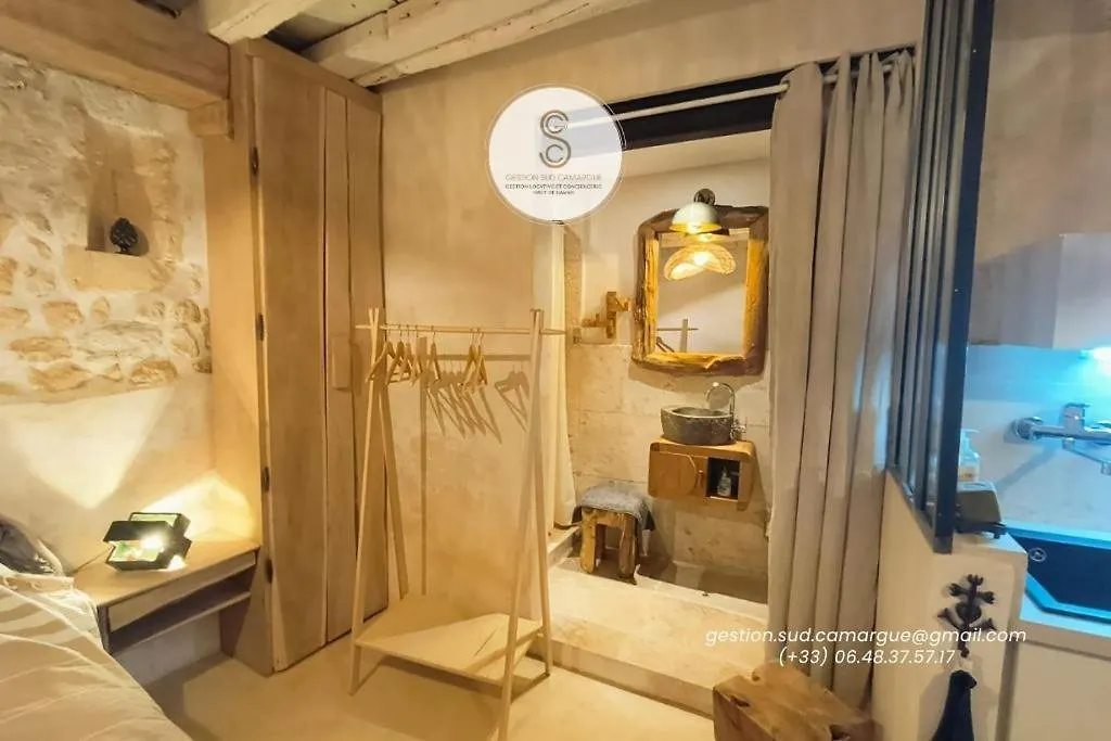 Holiday home L'Authentique Arles Centre Villa