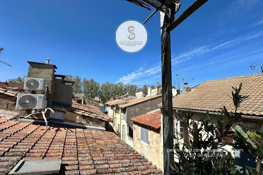 Holiday home L'Authentique Arles Centre Villa
