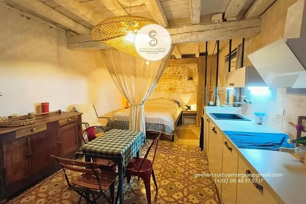 Holiday home L'Authentique Arles Centre Villa France